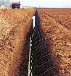 Subsurface Drip Irrigation