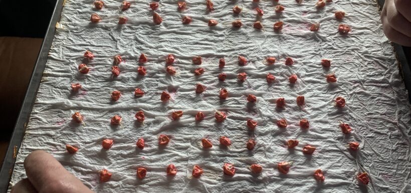 Hands arranging small items on a sheet.