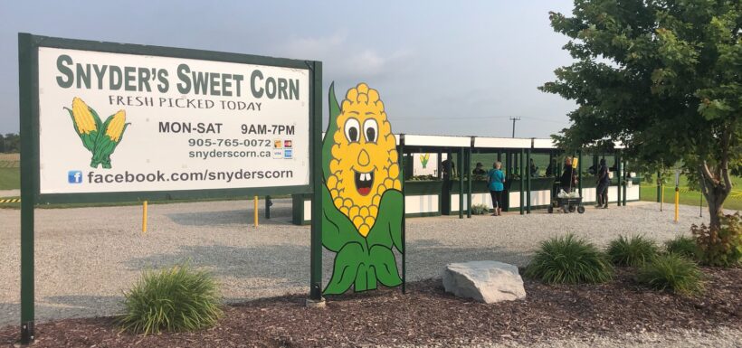 Snyder's Sweet Corn stand with sign.